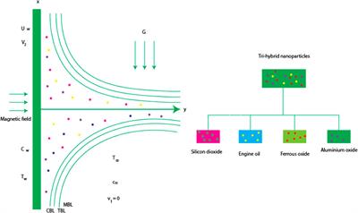 Transportation of Fe3O4-SiO2-Al2O3/EO and SiO2-Al2O3/EO nanoparticles in magnetized Reiner–Philippoff liquid, including modified fluxes via Galerkin algorithm: Significance of EMHD